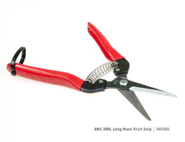 ARS Long Nose Fruit Snip - AR300L - Image 2