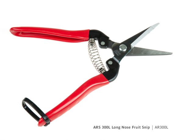 ARS Long Nose Fruit Snip - AR300L - Image 3