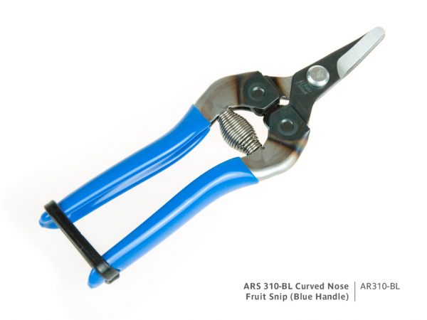 ARS 310-BL Fruit Snip with Blue Grip | Stock code AR310-BL
