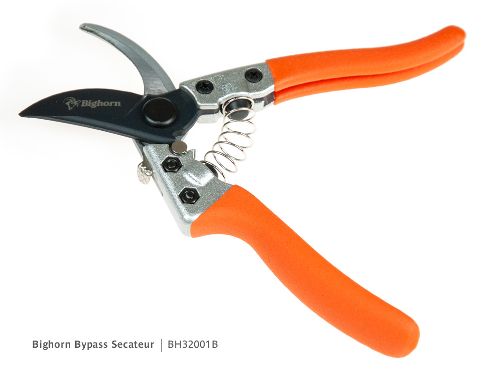 Bighorn Bypass Secateur | Blade and thumb-lock detail