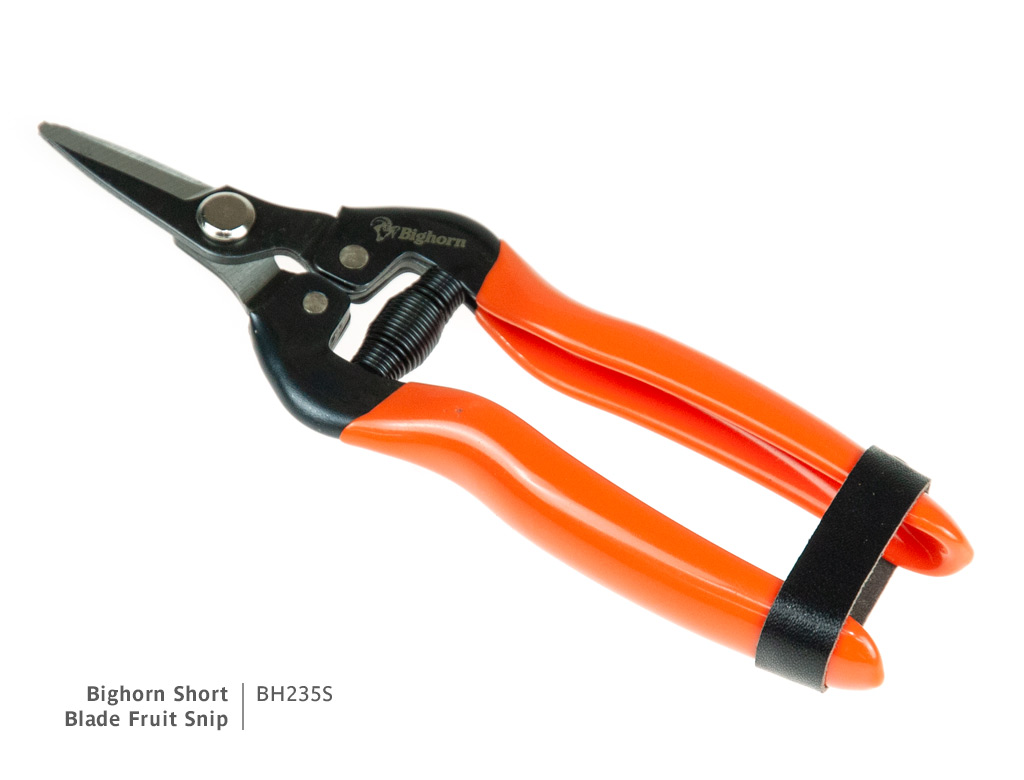 Bighorn Short Blade Fruit Snip | Product Code BH235S