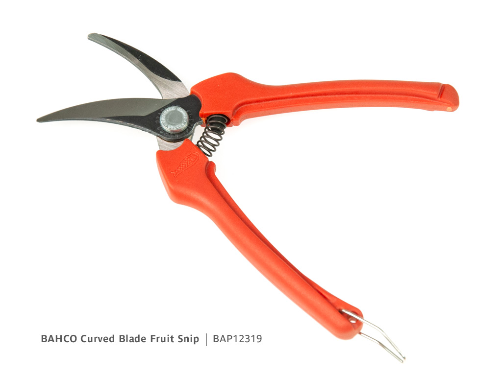BAHCO Curved Blade Fruit Snip | Blade open