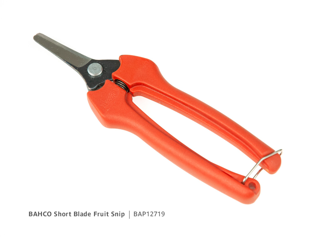 BAHCO Short Blade Fruit Snip | Product code BAP12719