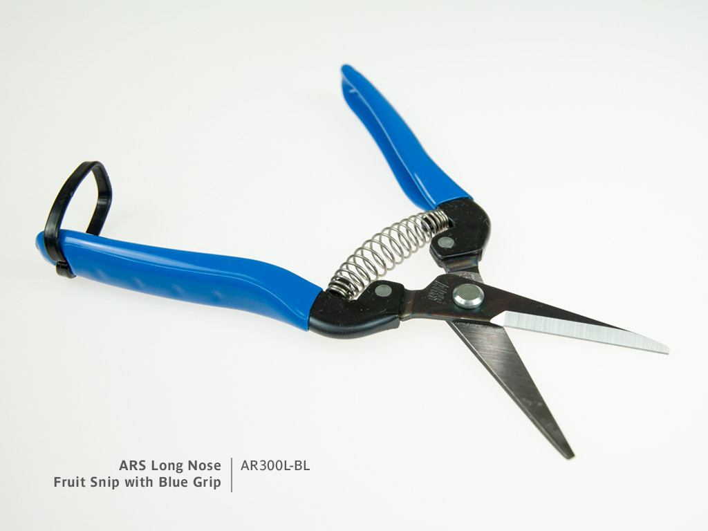 ARS Long Nose Fruit Snip with contrasting Blue Grip | Blade detail