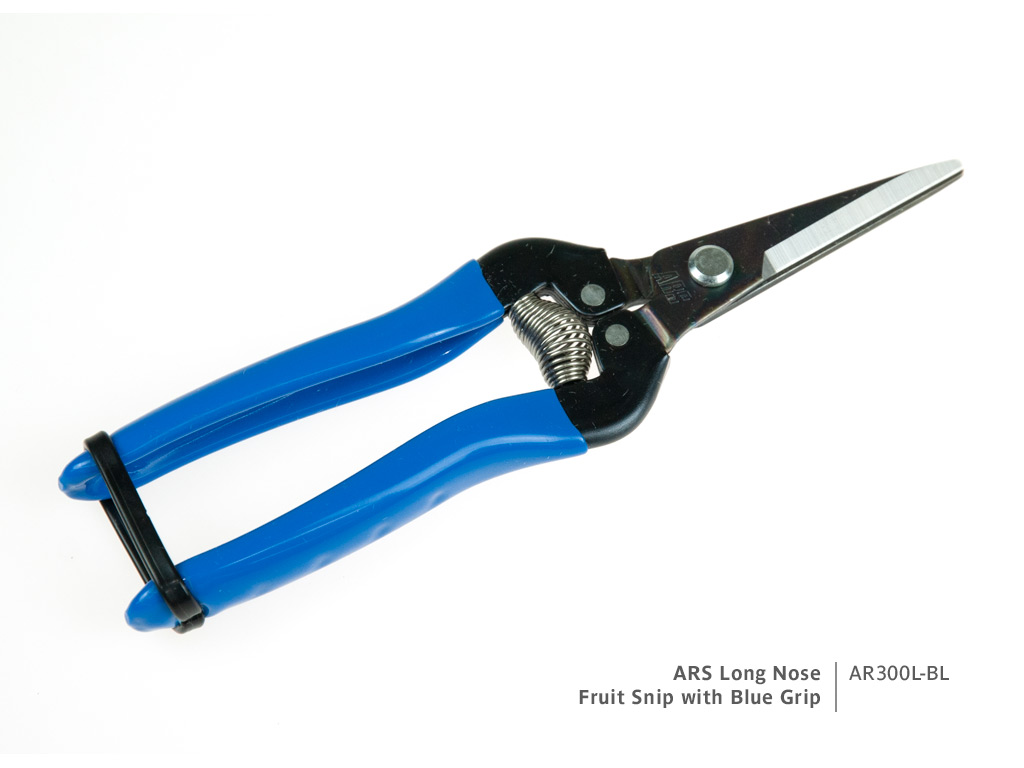 ARS Long Nose Fruit Snip with contrasting Blue Grip | Product code AR300L-BL